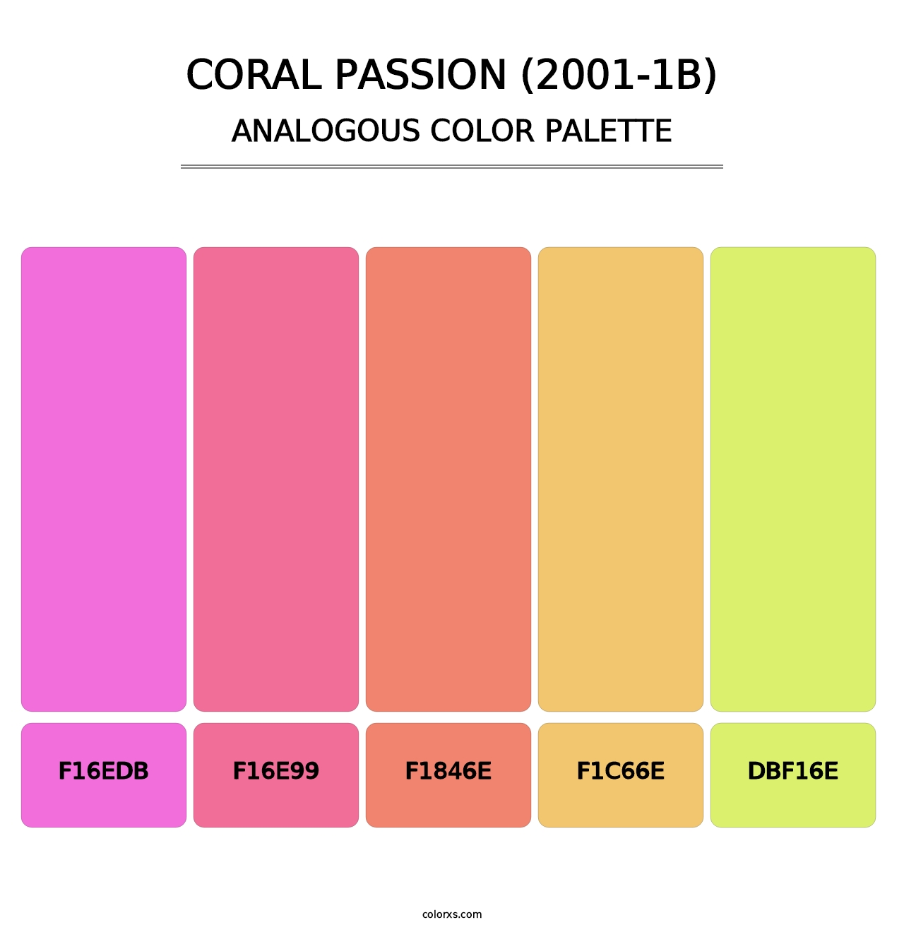 Coral Passion (2001-1B) - Analogous Color Palette