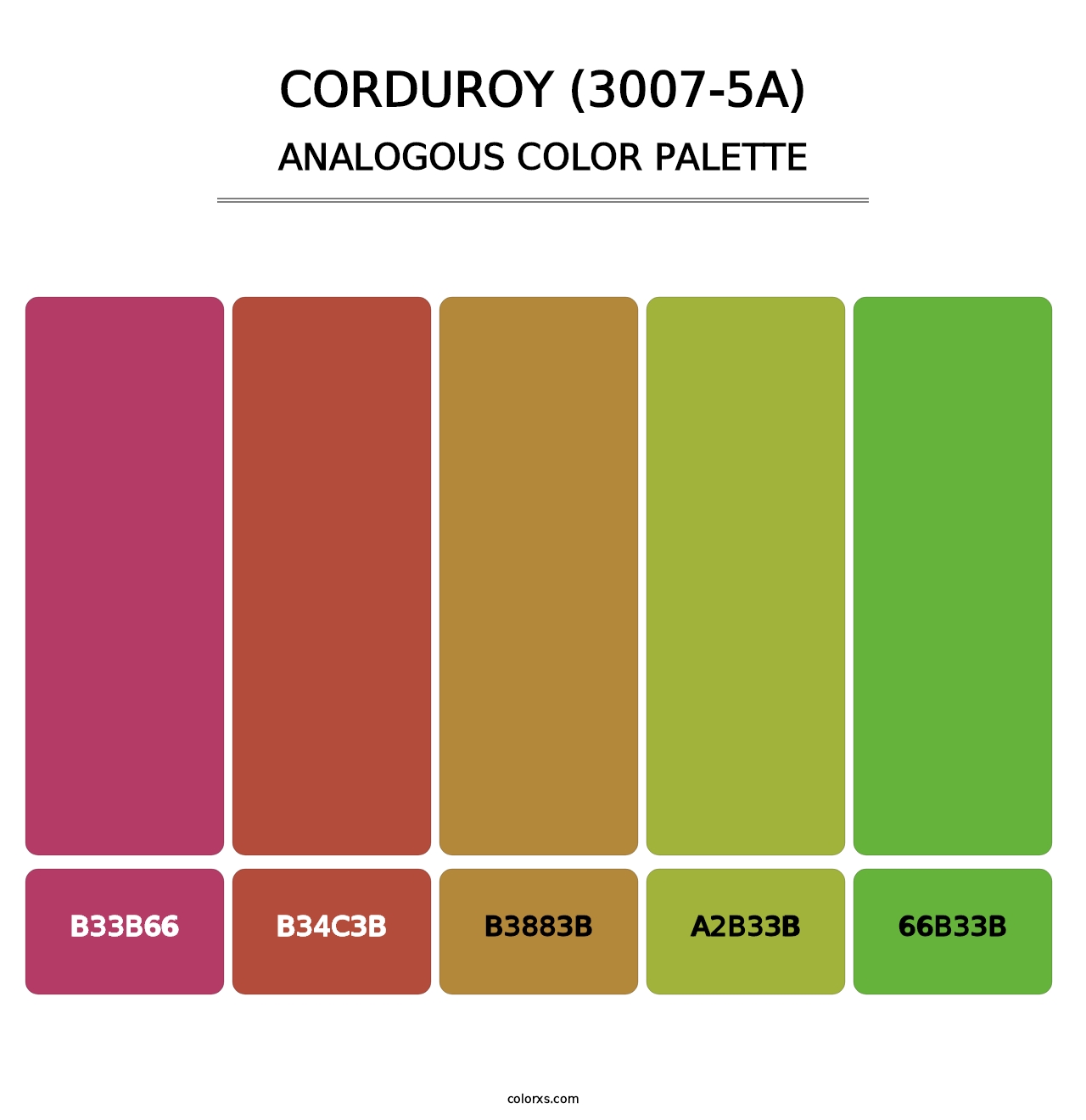 Corduroy (3007-5A) - Analogous Color Palette