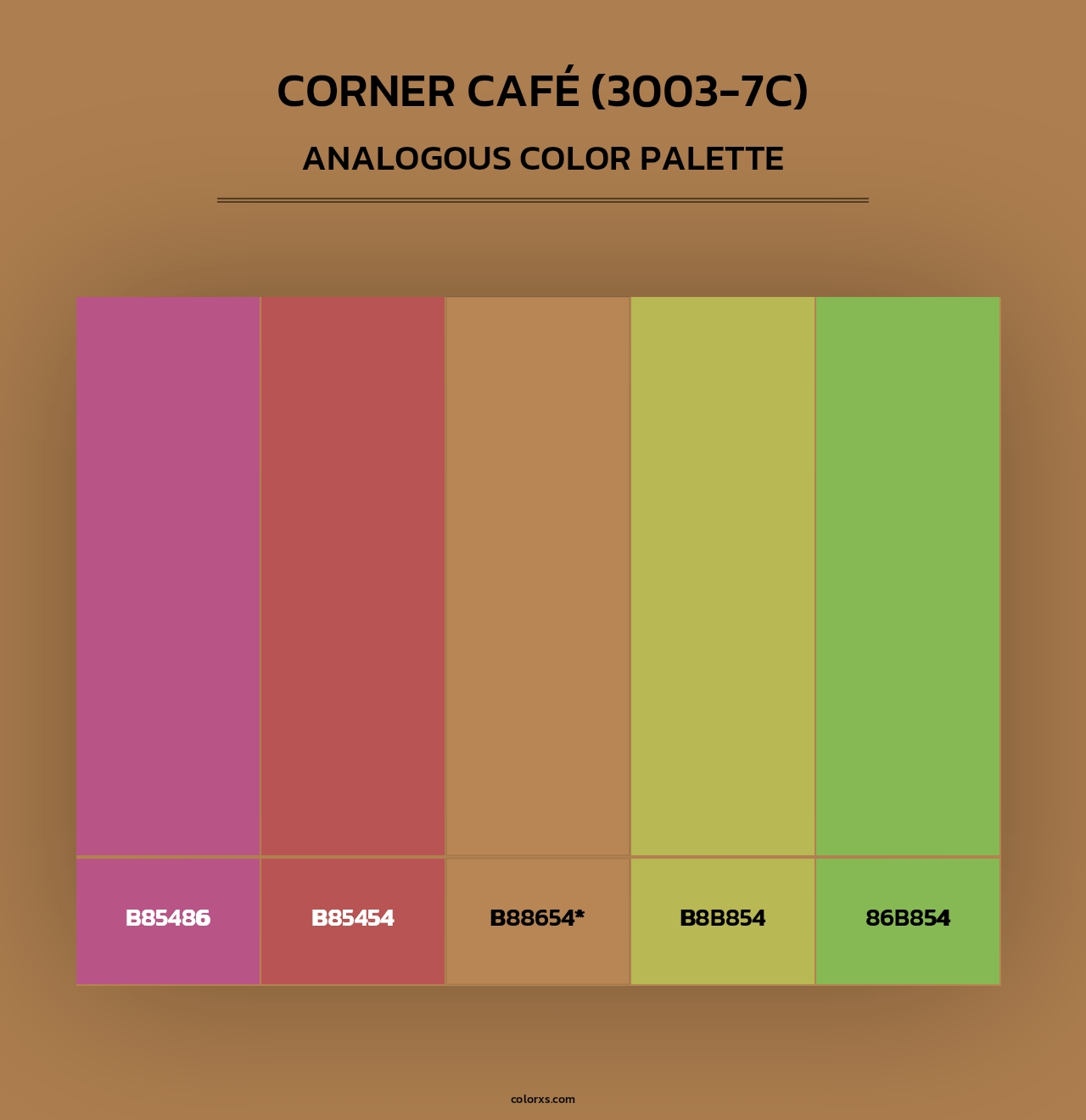 Corner Café (3003-7C) - Analogous Color Palette