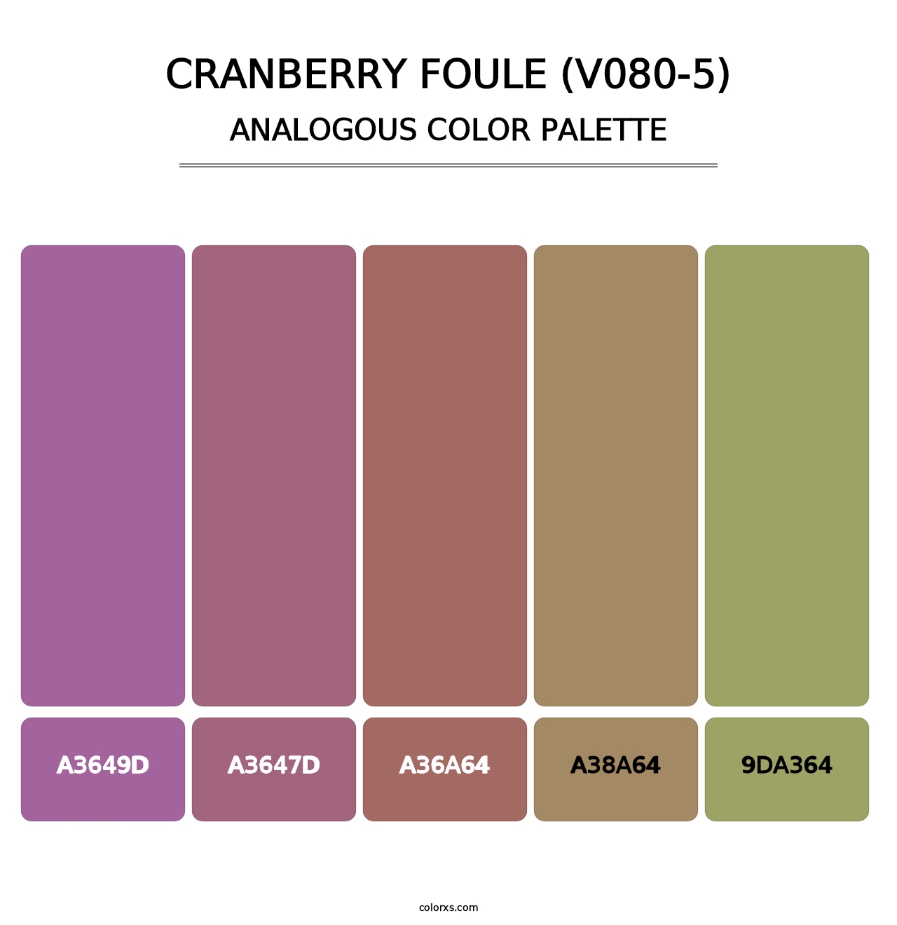 Cranberry Foule (V080-5) - Analogous Color Palette