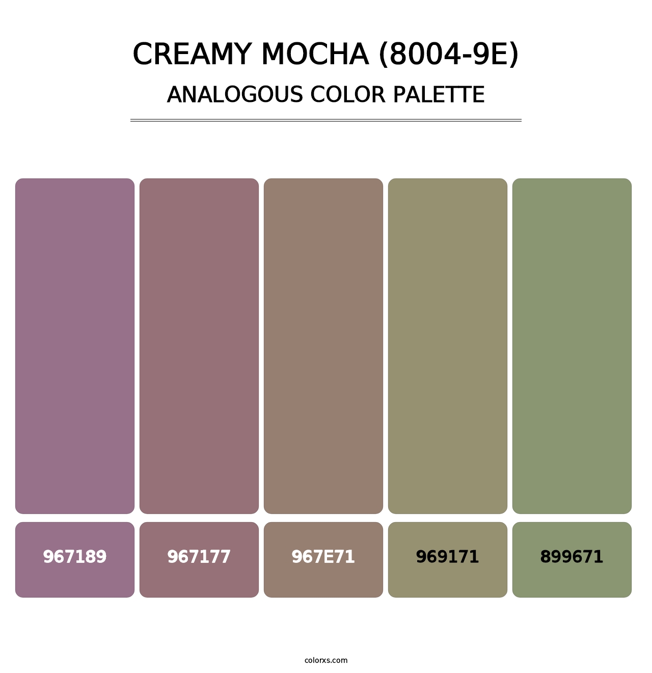 Creamy Mocha (8004-9E) - Analogous Color Palette
