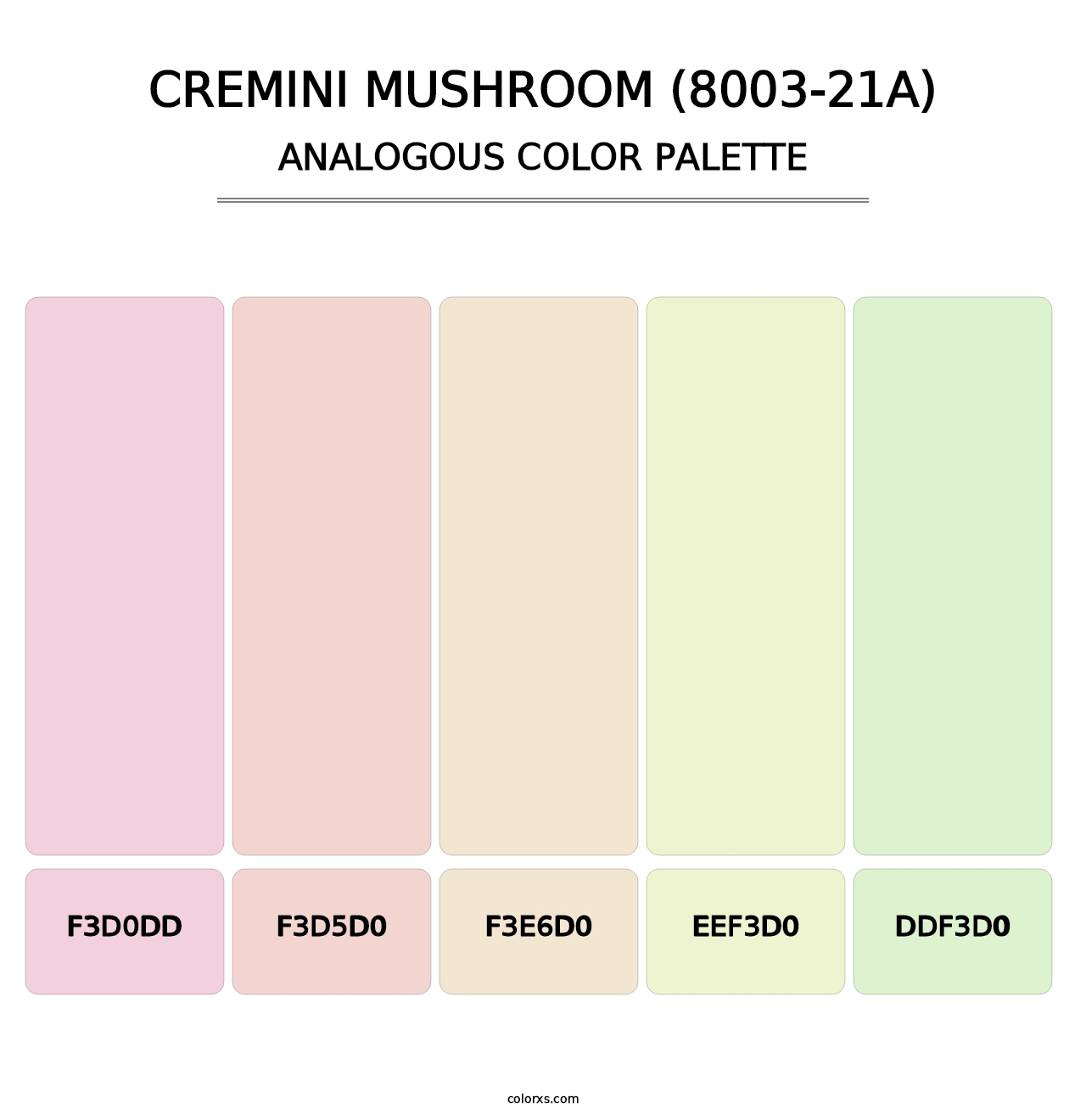Cremini Mushroom (8003-21A) - Analogous Color Palette