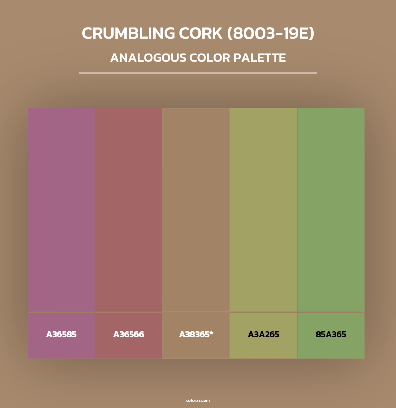 Crumbling Cork (8003-19E) - Analogous Color Palette