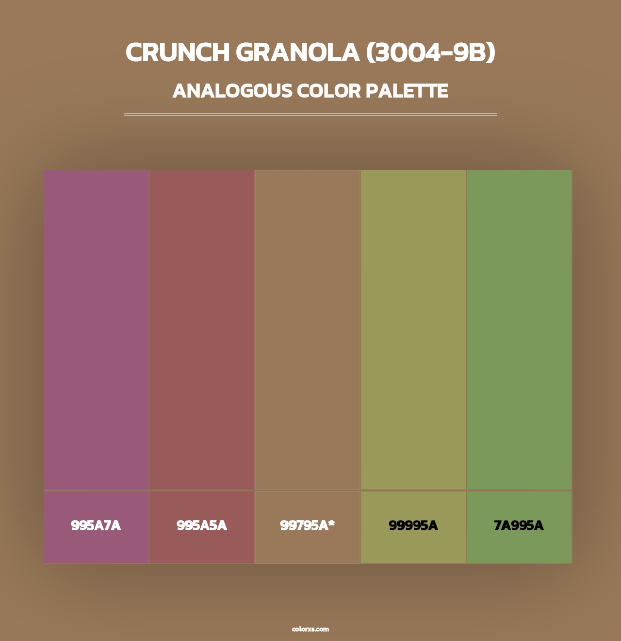 Crunch Granola (3004-9B) - Analogous Color Palette