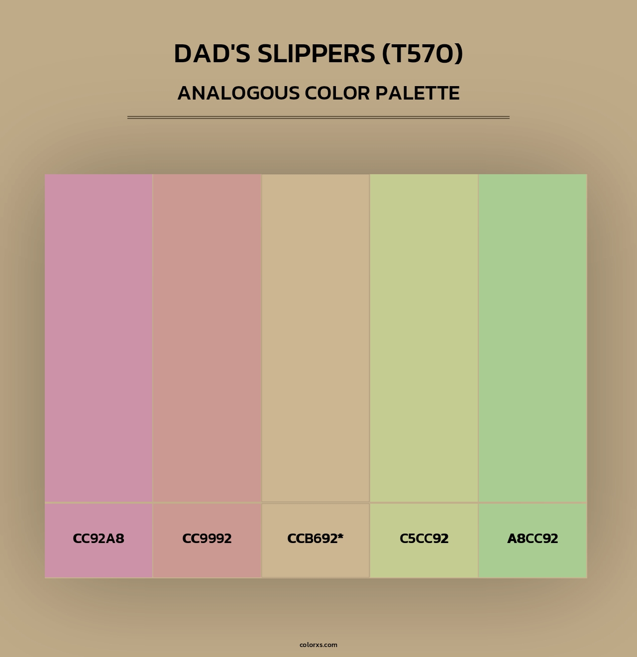 Dad's Slippers (T570) - Analogous Color Palette