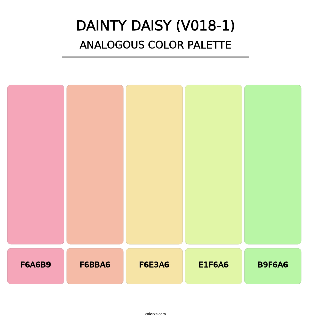 Dainty Daisy (V018-1) - Analogous Color Palette