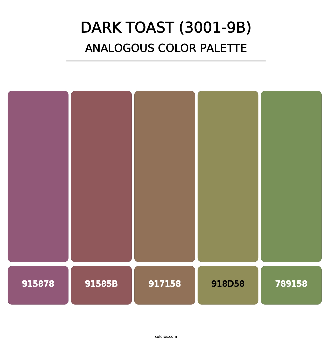 Dark Toast (3001-9B) - Analogous Color Palette