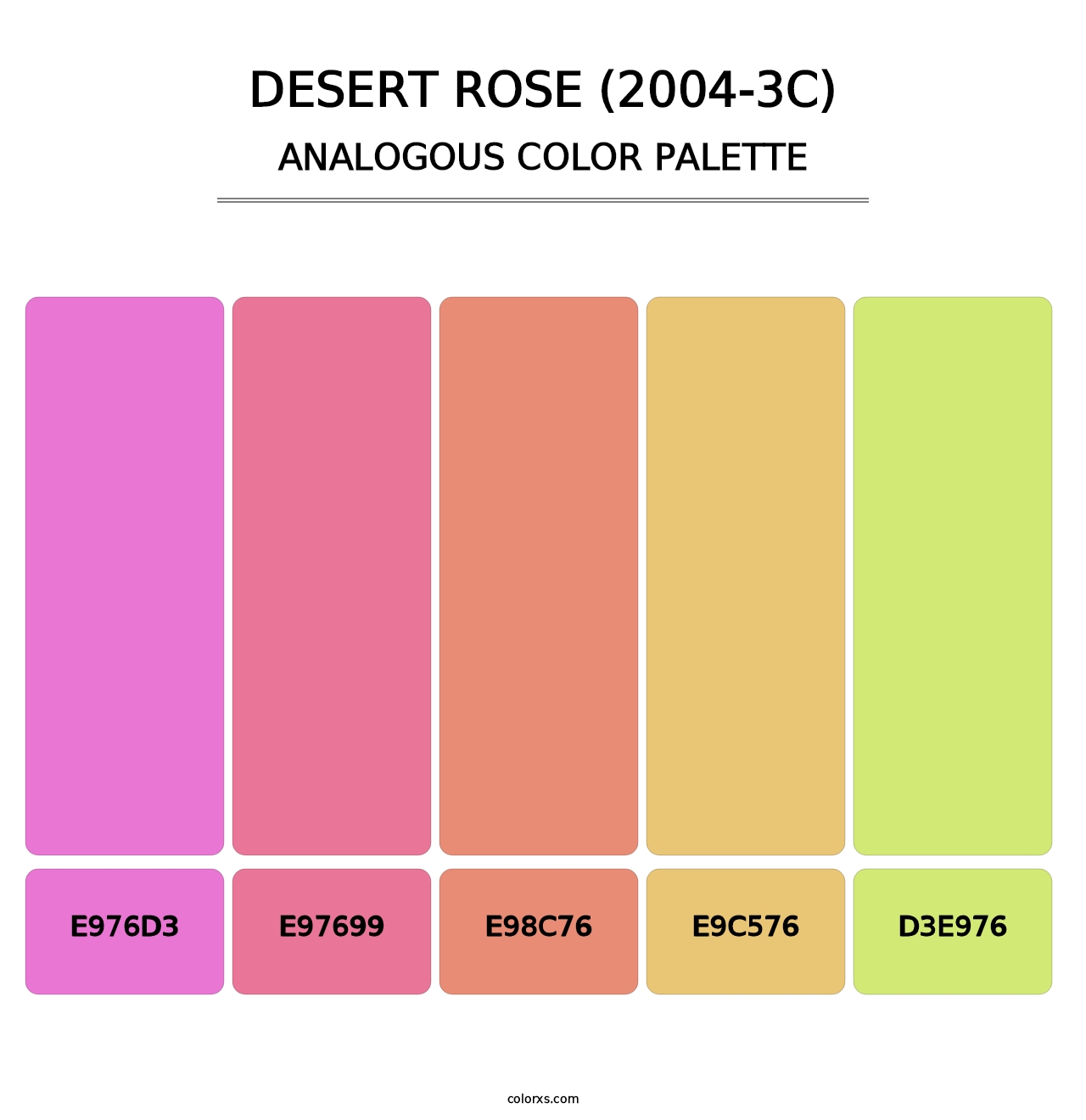 Desert Rose (2004-3C) - Analogous Color Palette
