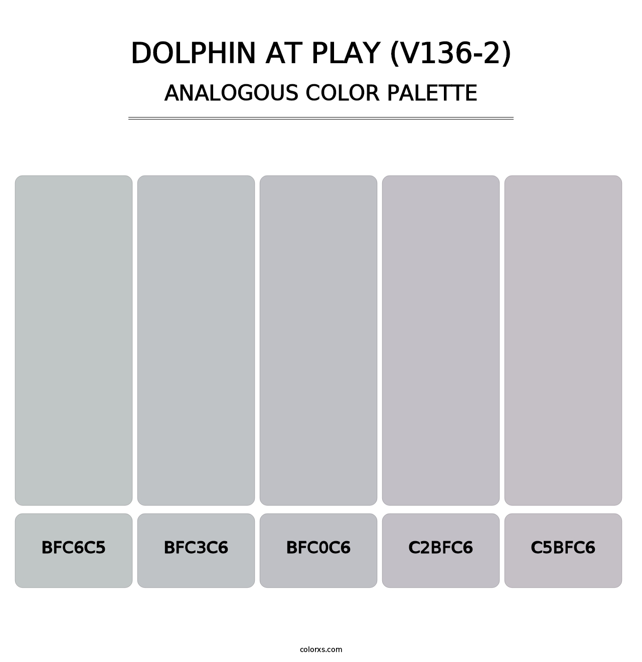 Dolphin at Play (V136-2) - Analogous Color Palette