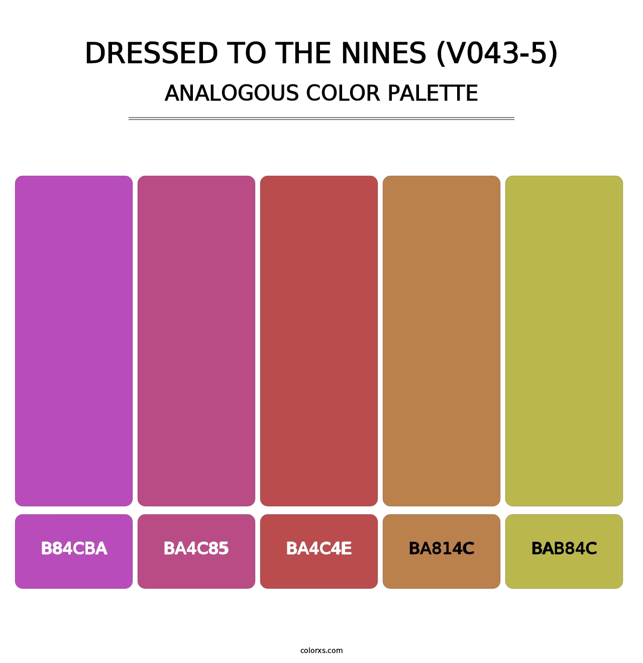 Dressed to the Nines (V043-5) - Analogous Color Palette