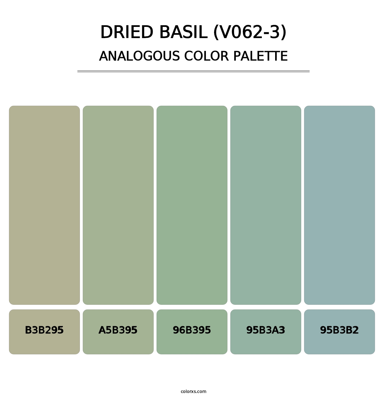 Dried Basil (V062-3) - Analogous Color Palette