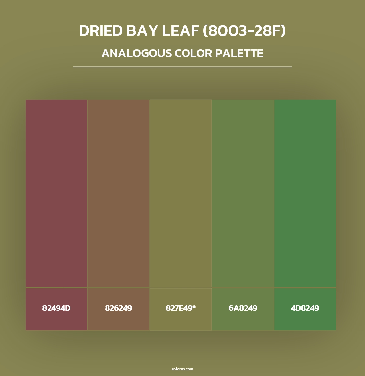 Dried Bay Leaf (8003-28F) - Analogous Color Palette
