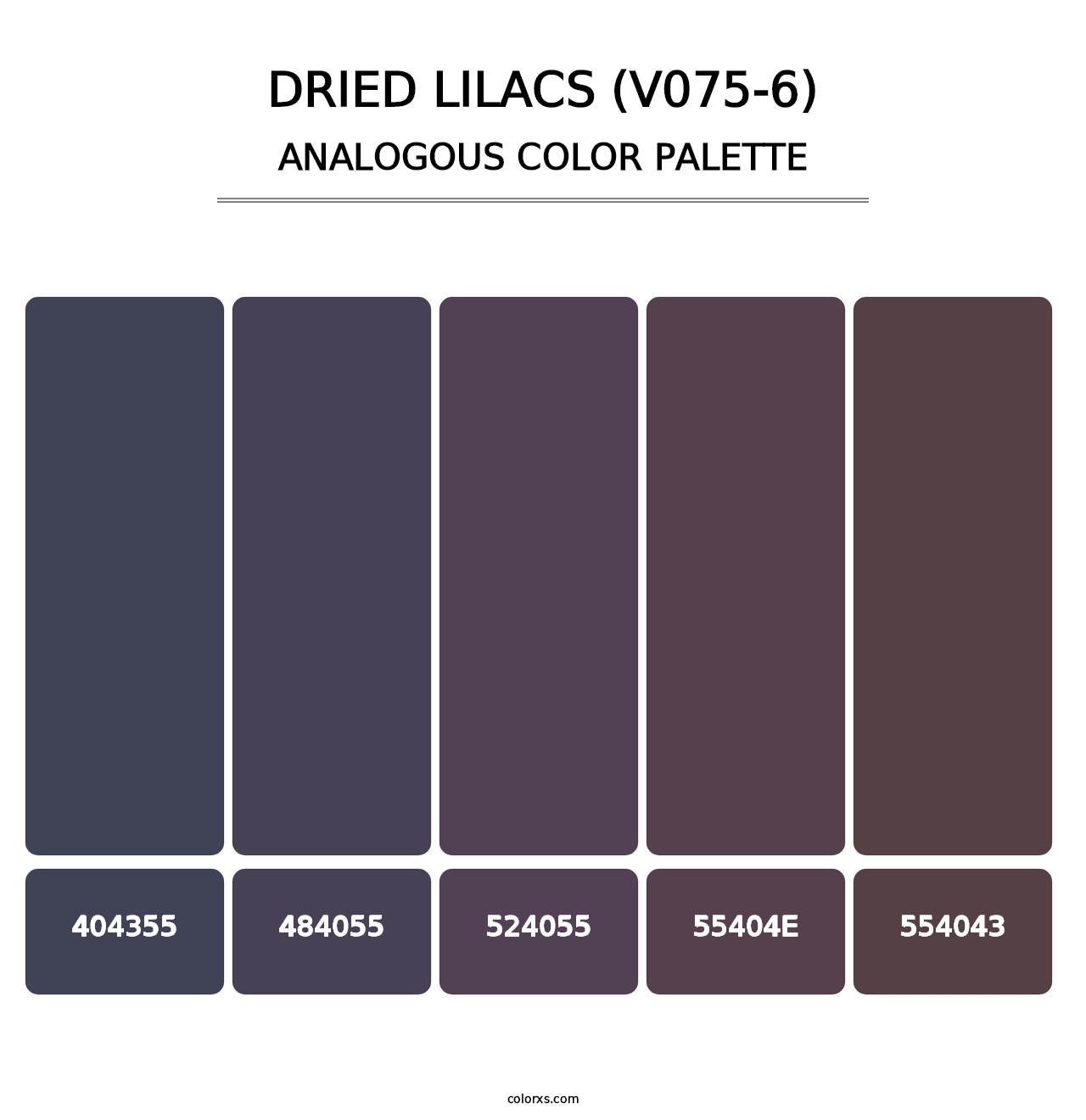 Dried Lilacs (V075-6) - Analogous Color Palette