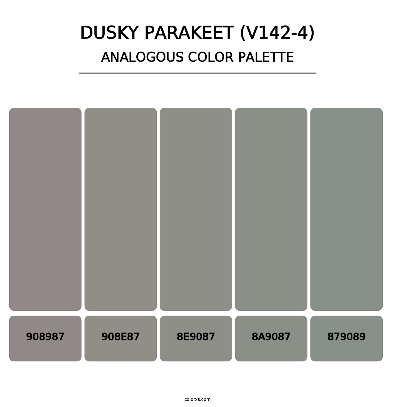 Dusky Parakeet (V142-4) - Analogous Color Palette