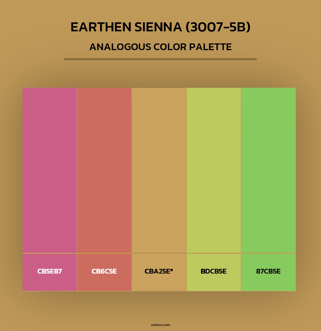 Earthen Sienna (3007-5B) - Analogous Color Palette