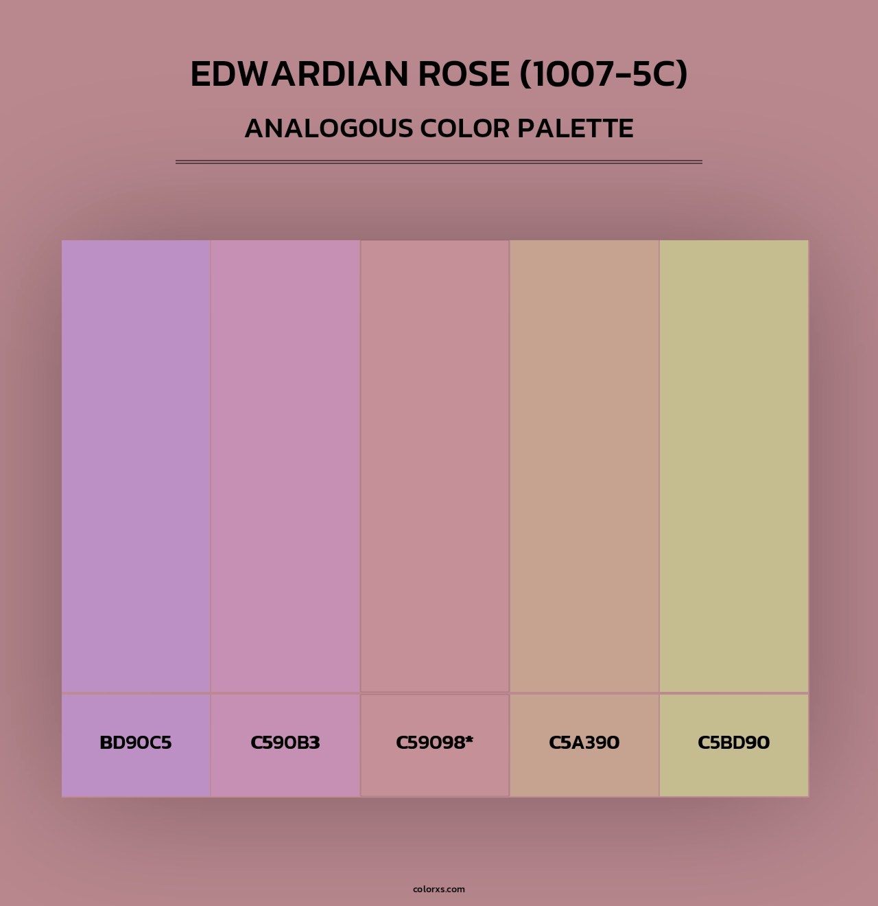 Edwardian Rose (1007-5C) - Analogous Color Palette