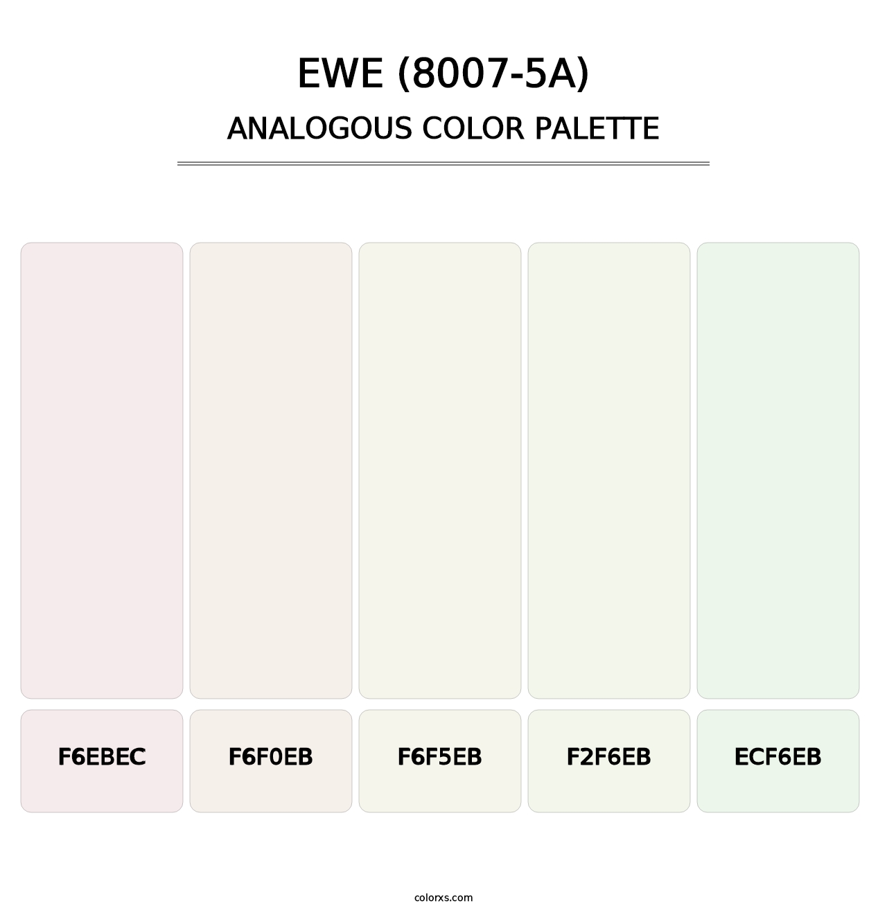 Ewe (8007-5A) - Analogous Color Palette