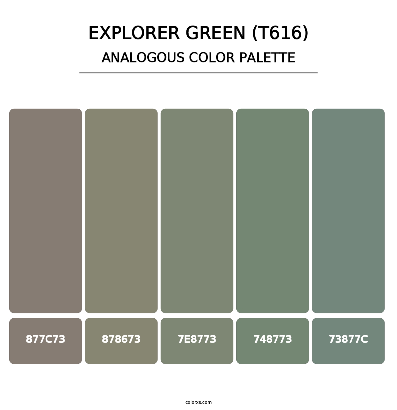 Explorer Green (T616) - Analogous Color Palette