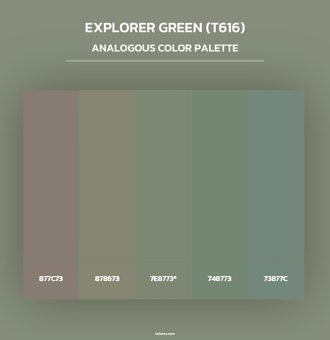 Explorer Green (T616) - Analogous Color Palette