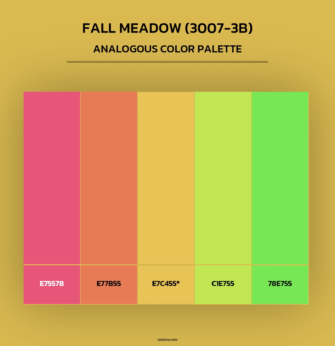 Fall Meadow (3007-3B) - Analogous Color Palette