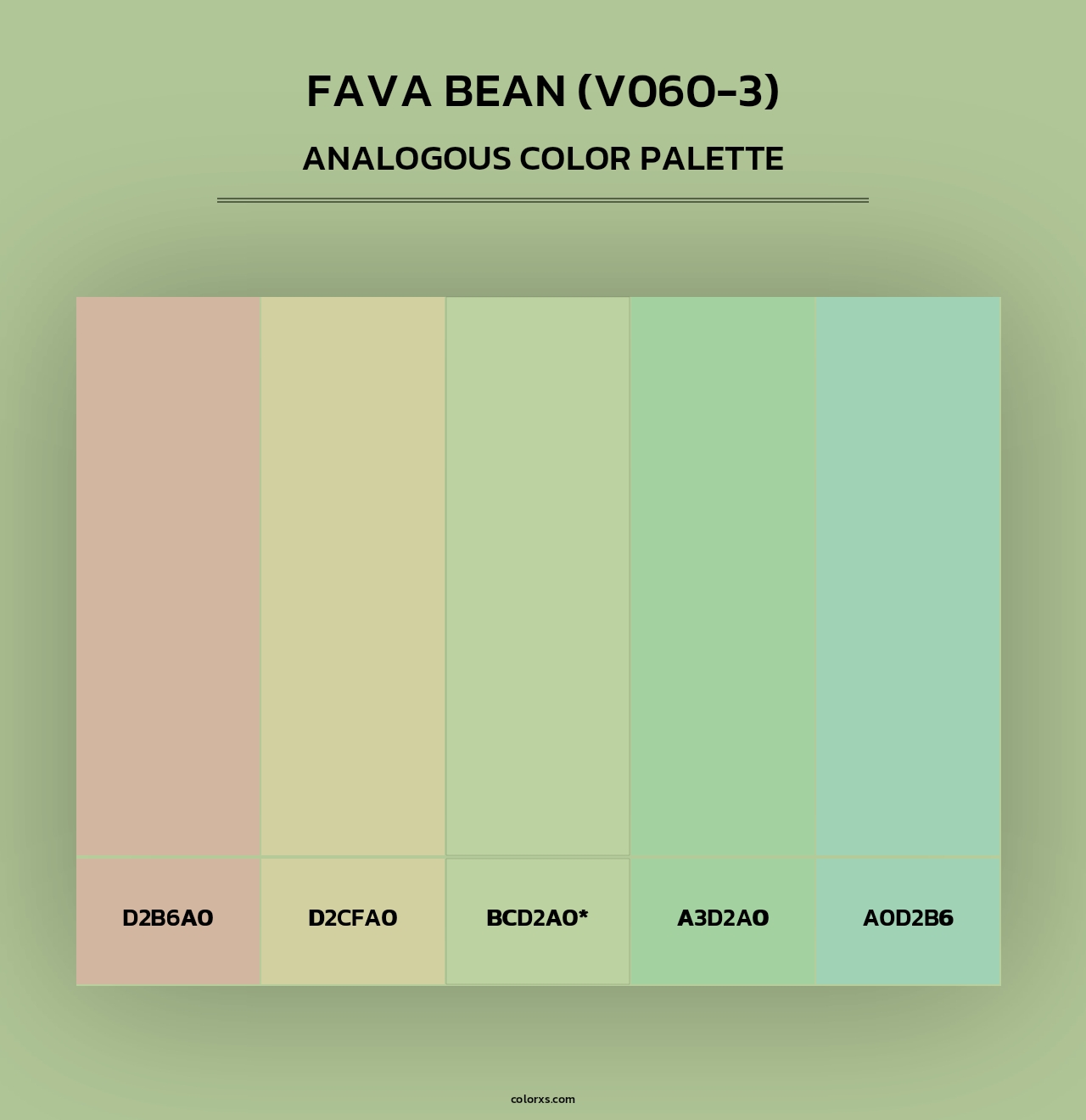 Fava Bean (V060-3) - Analogous Color Palette