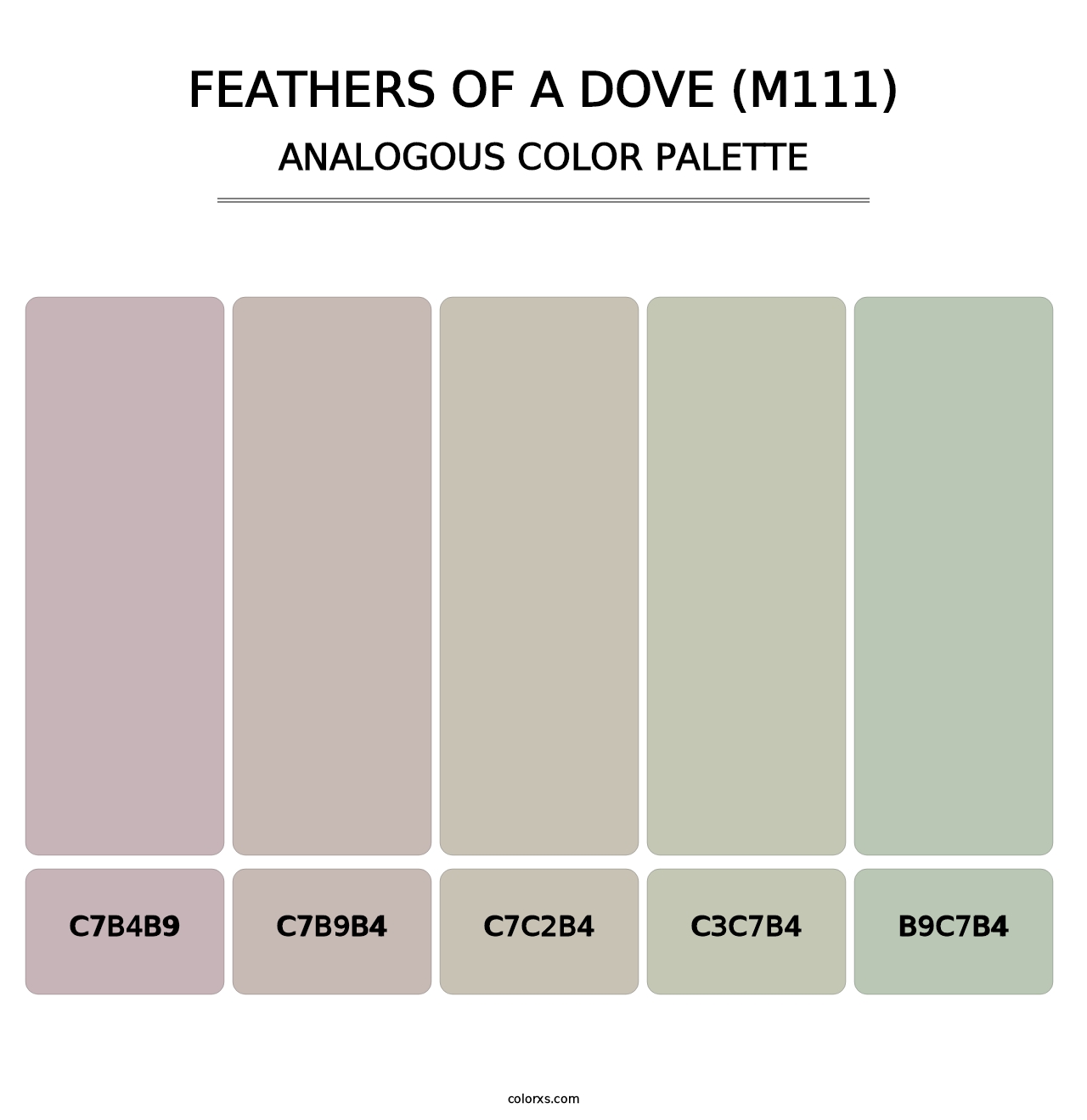 Feathers of a Dove (M111) - Analogous Color Palette