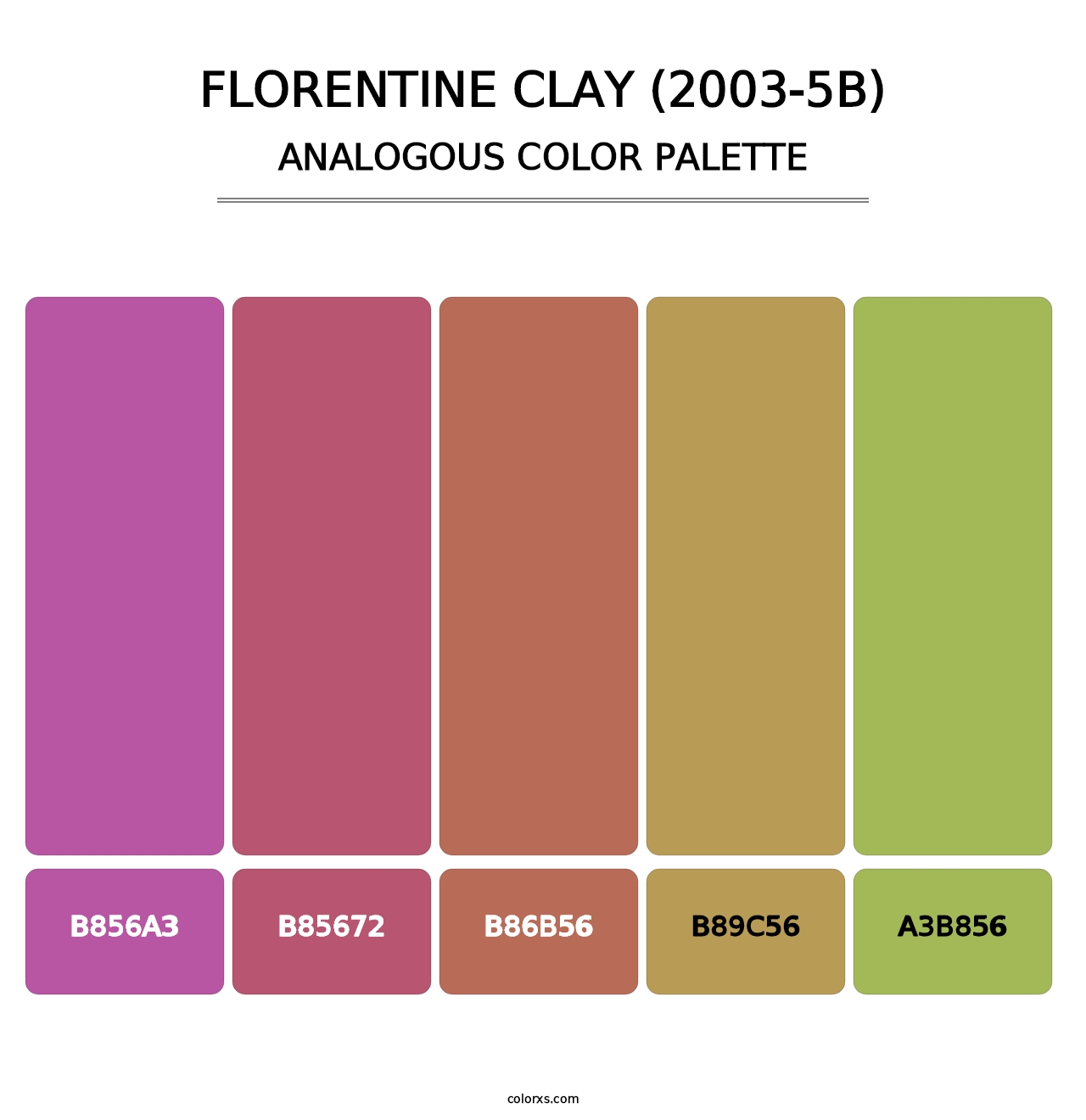 Florentine Clay (2003-5B) - Analogous Color Palette