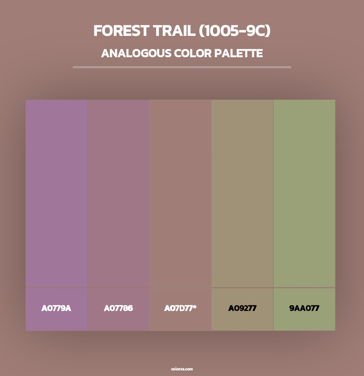 Forest Trail (1005-9C) - Analogous Color Palette