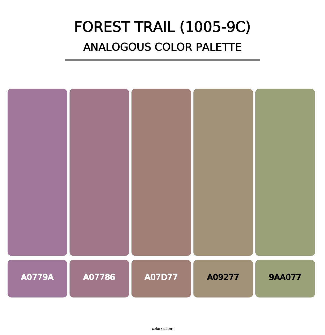 Forest Trail (1005-9C) - Analogous Color Palette
