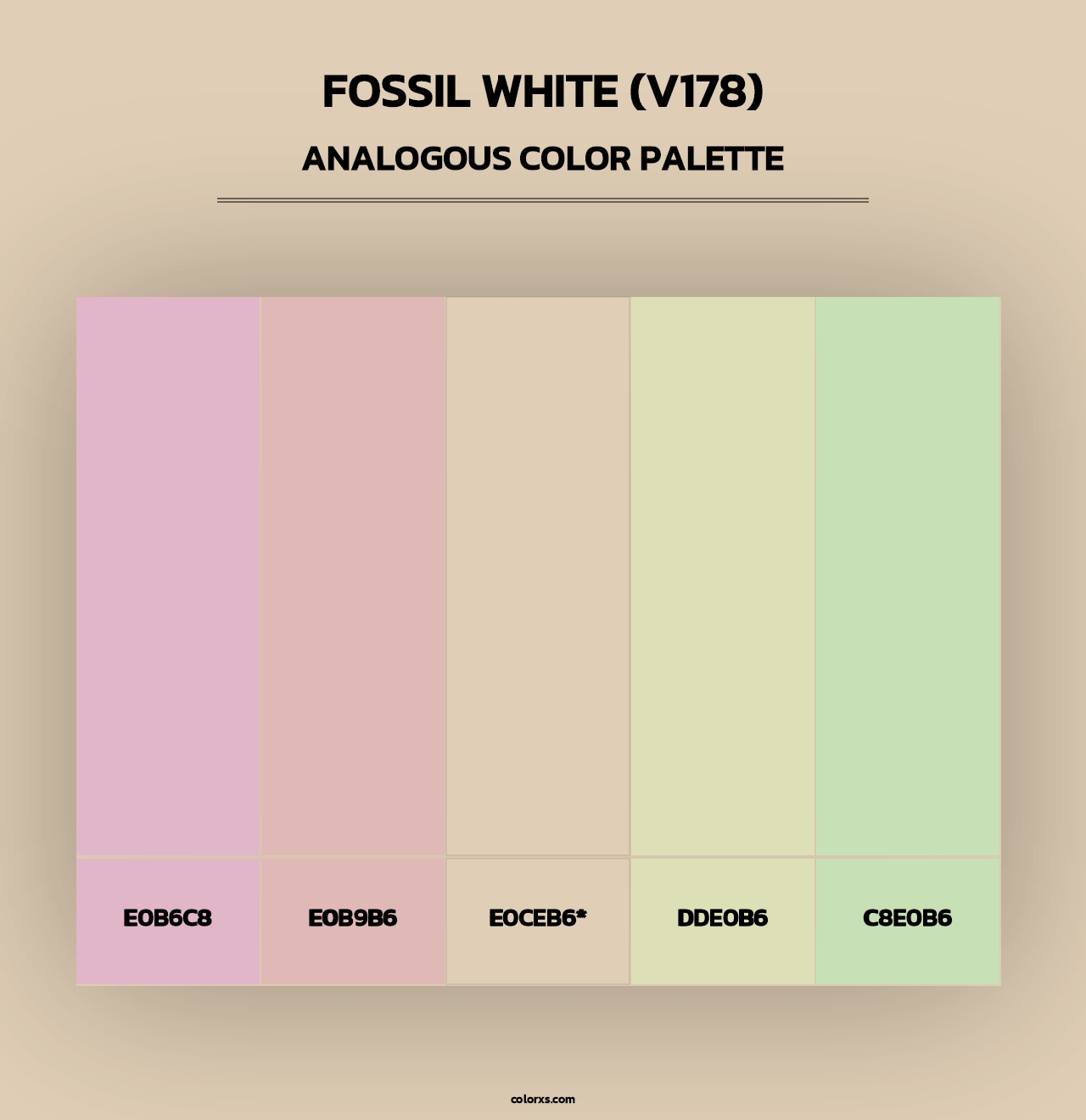 Fossil White (V178) - Analogous Color Palette