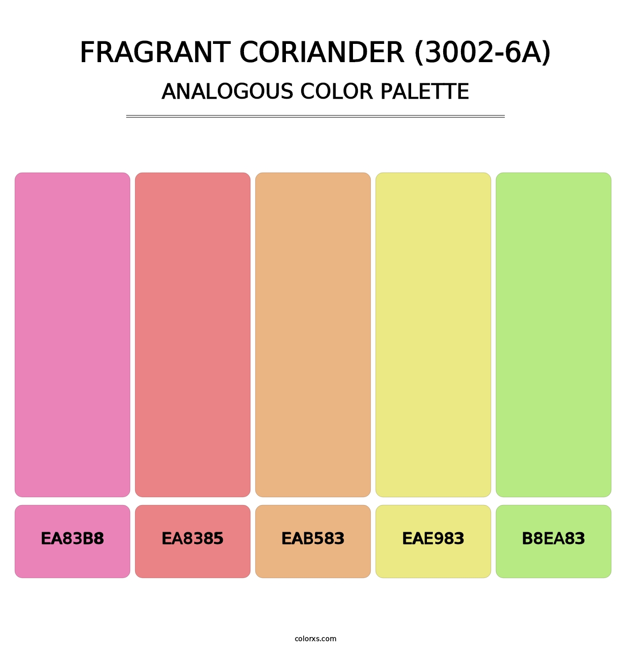 Fragrant Coriander (3002-6A) - Analogous Color Palette