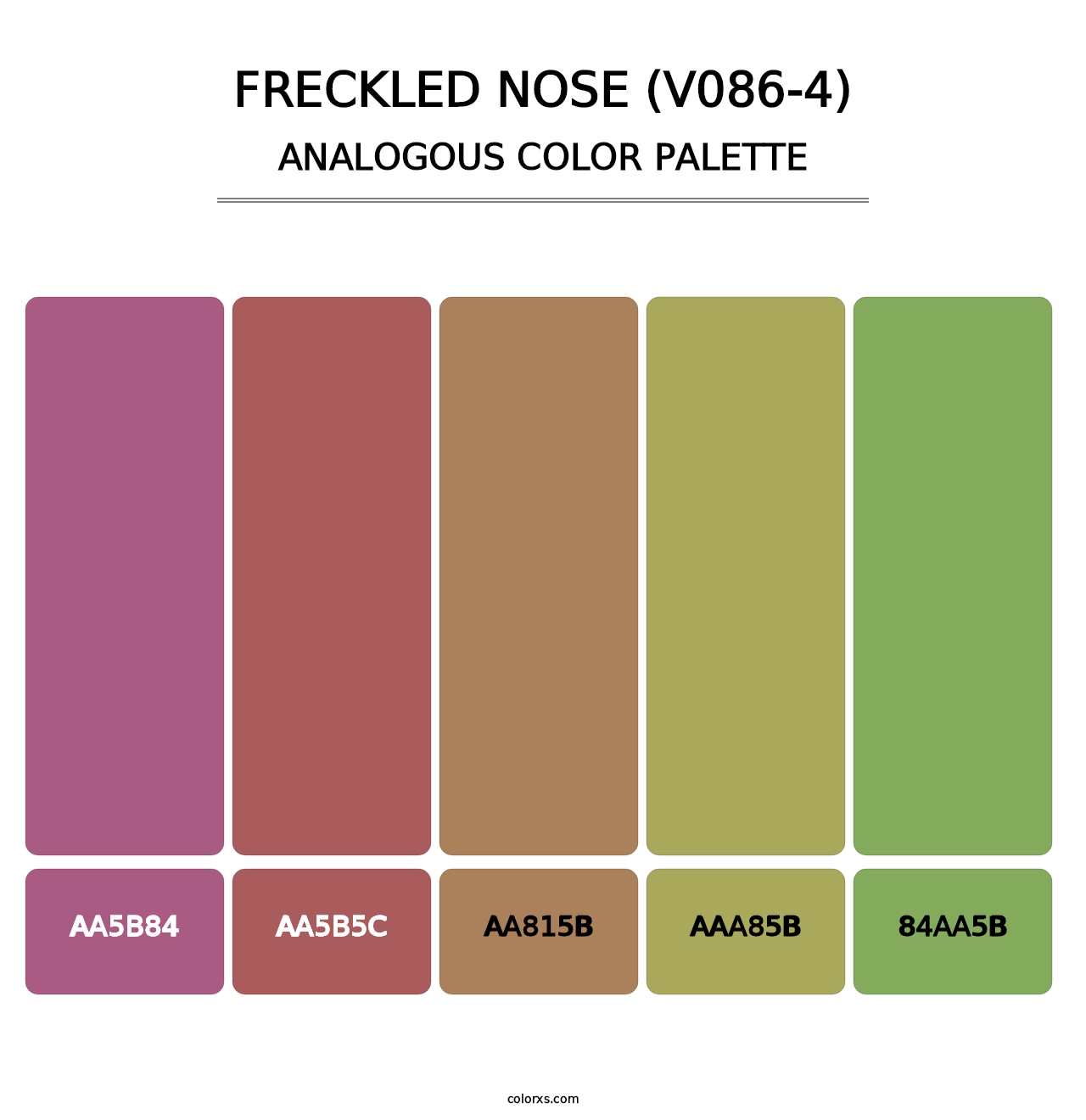 Freckled Nose (V086-4) - Analogous Color Palette