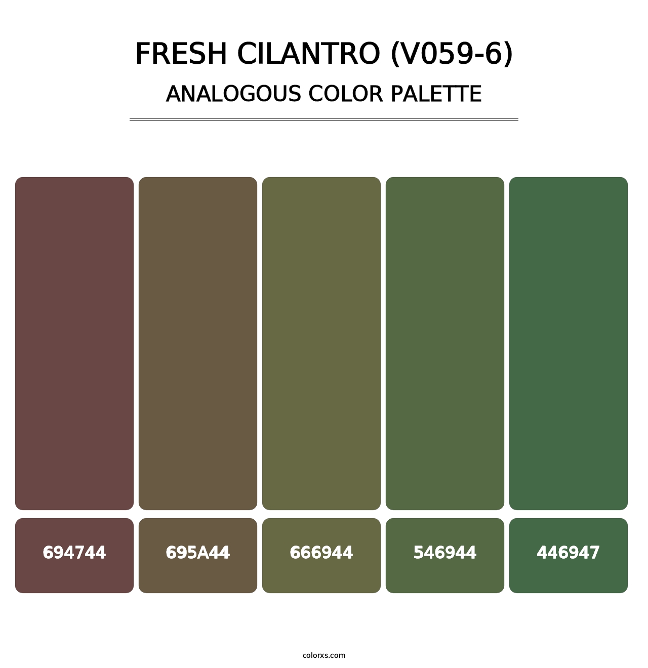 Fresh Cilantro (V059-6) - Analogous Color Palette
