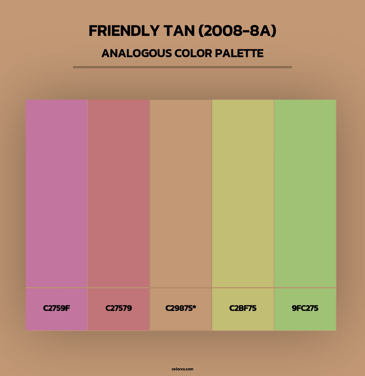 Friendly Tan (2008-8A) - Analogous Color Palette