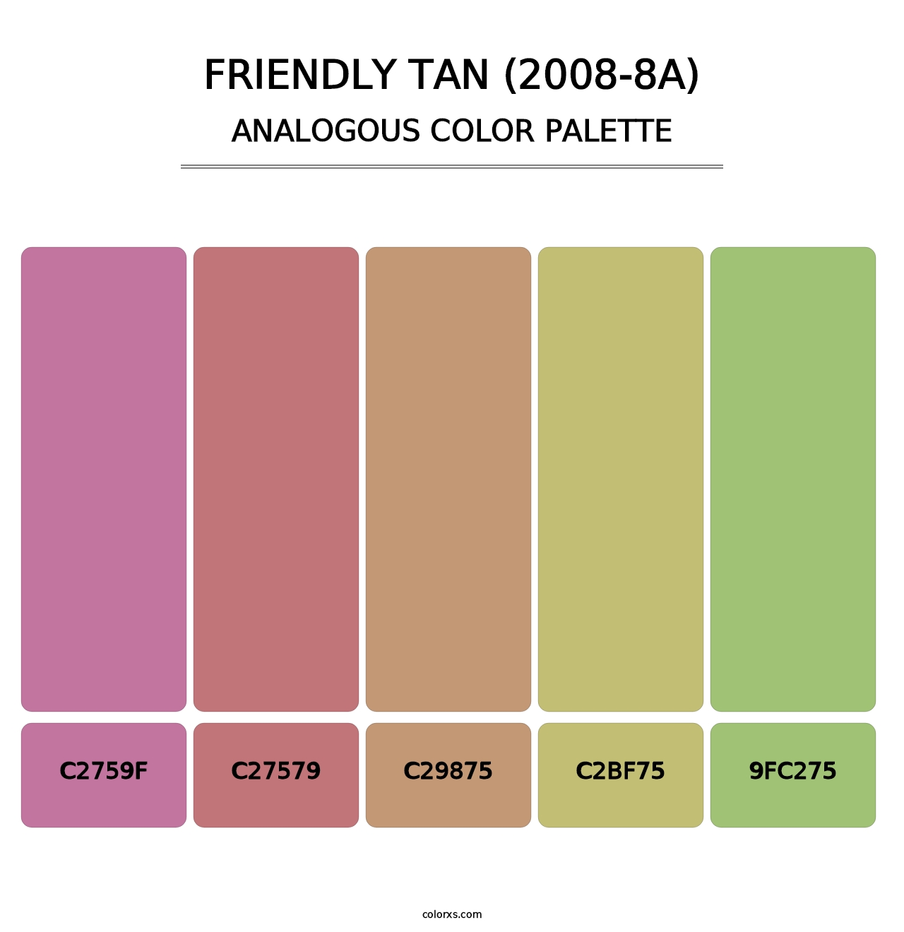Friendly Tan (2008-8A) - Analogous Color Palette
