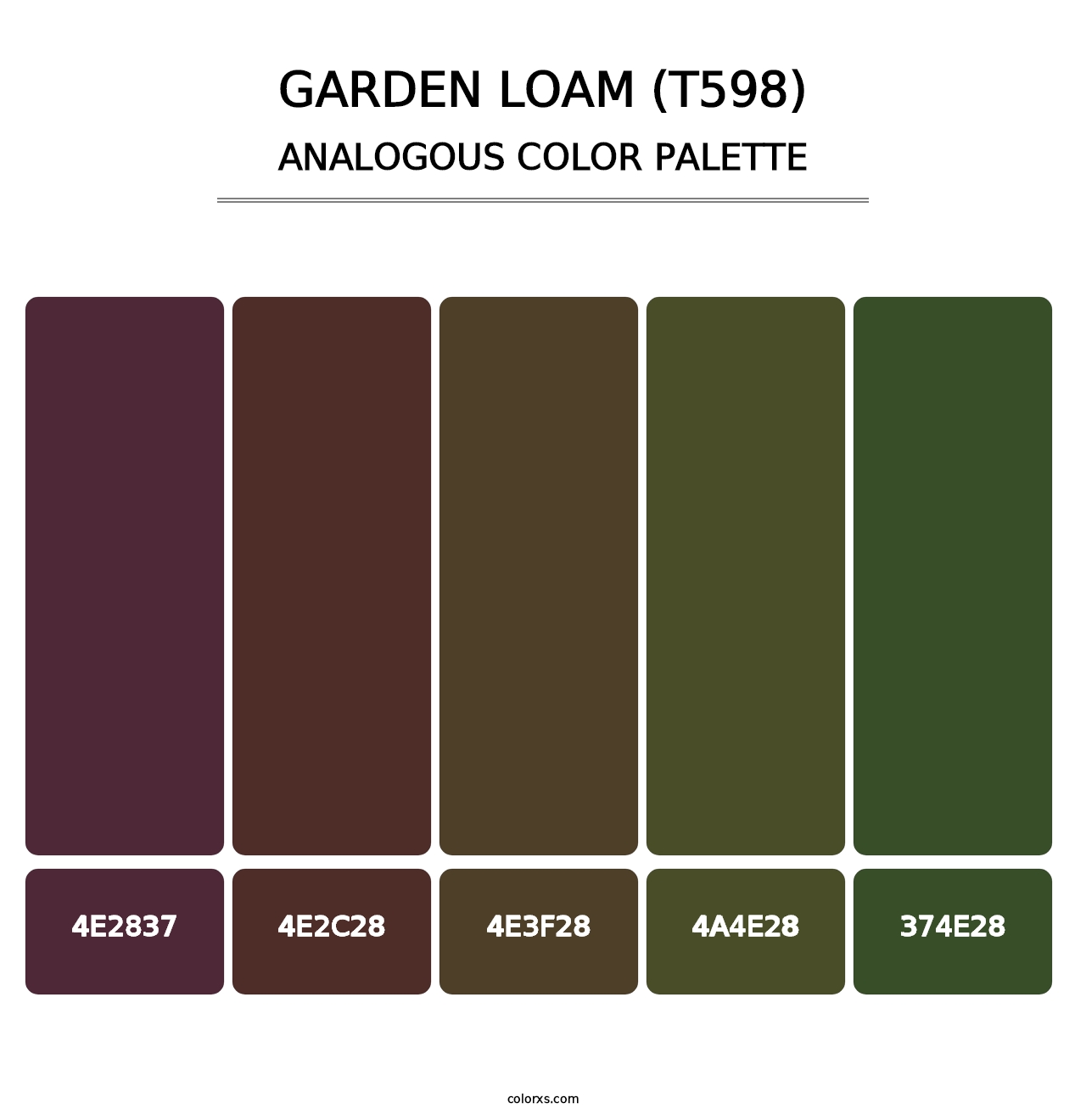 Garden Loam (T598) - Analogous Color Palette