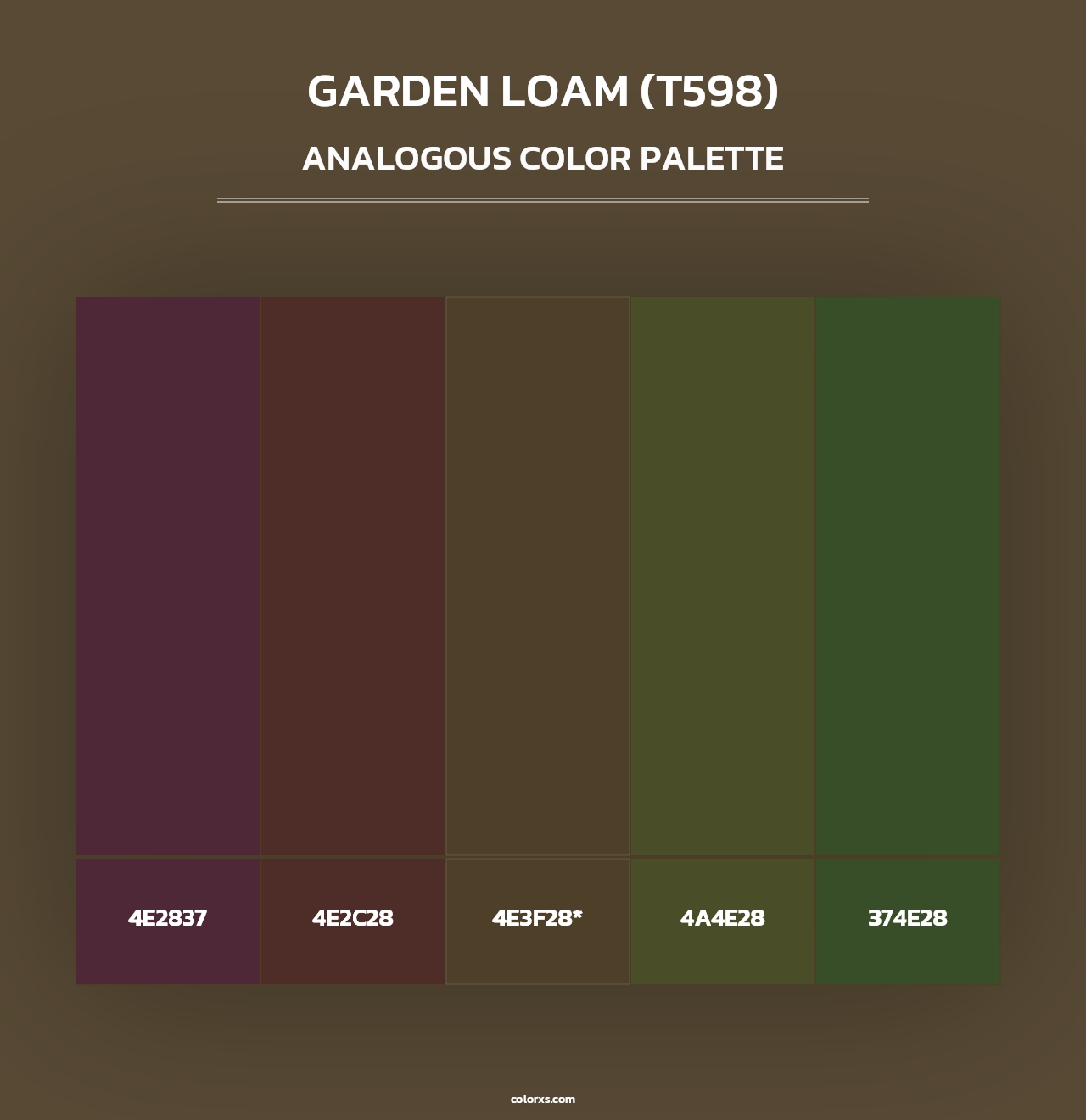 Garden Loam (T598) - Analogous Color Palette