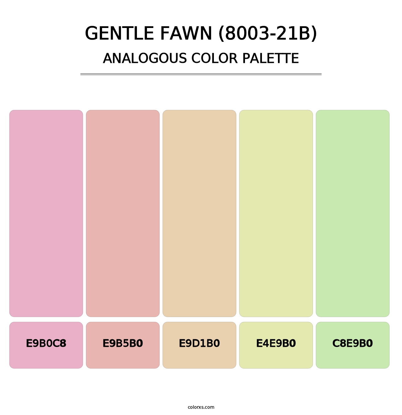 Gentle Fawn (8003-21B) - Analogous Color Palette