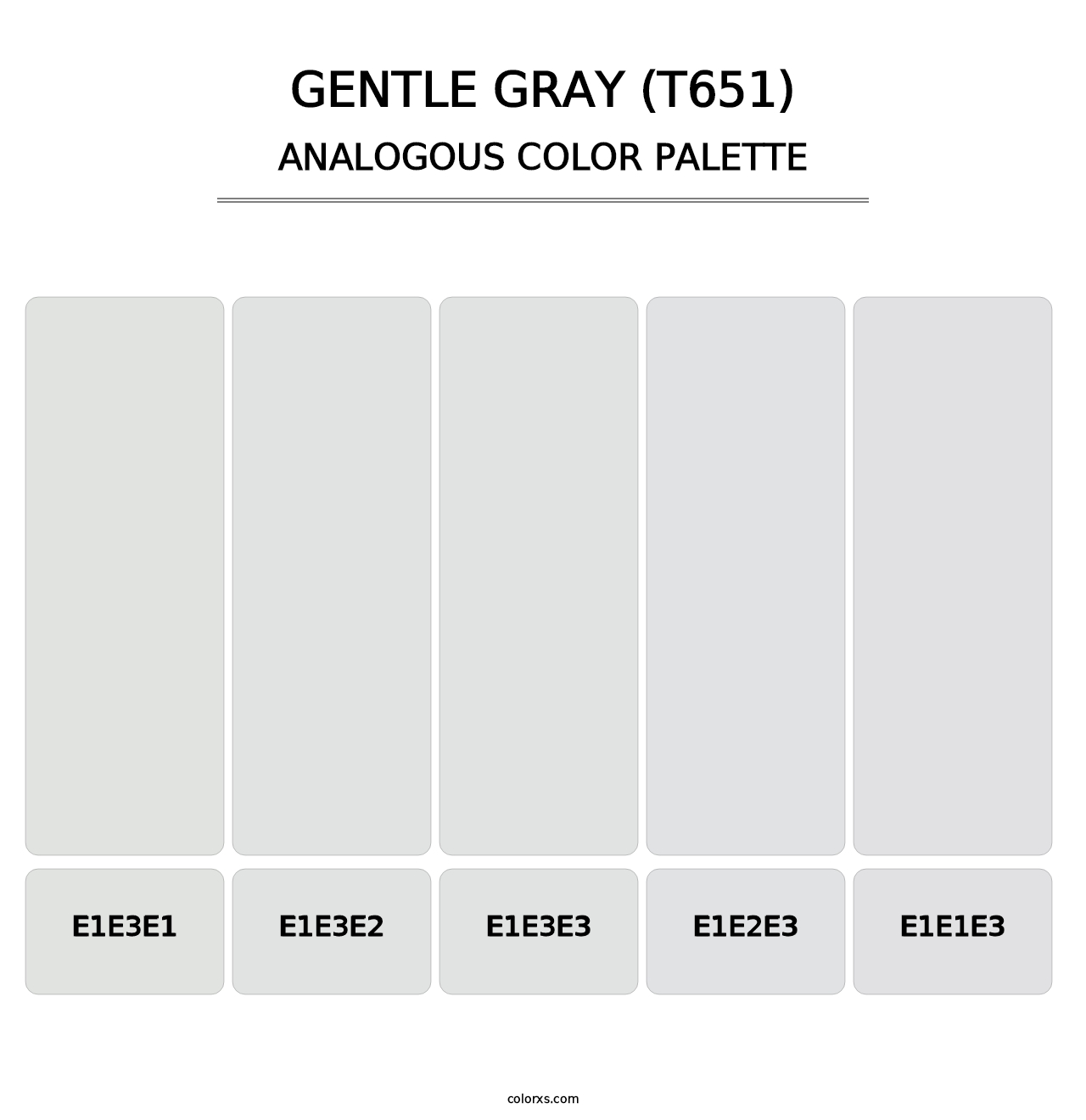 Gentle Gray (T651) - Analogous Color Palette