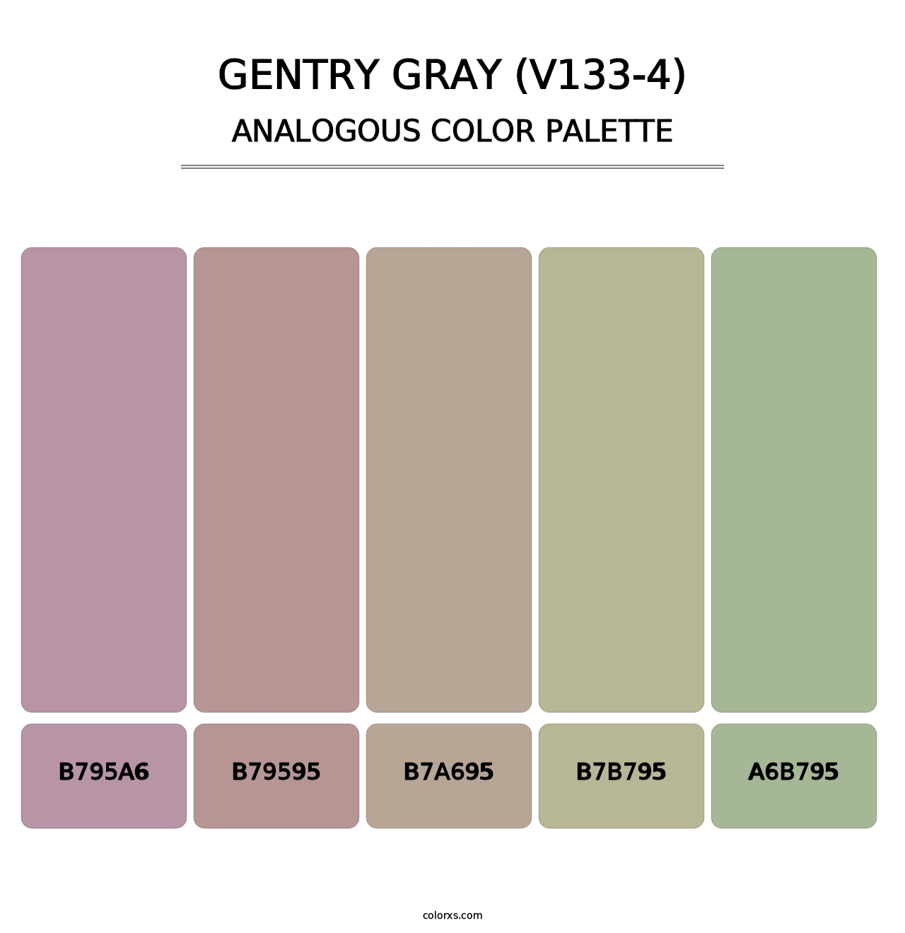 Gentry Gray (V133-4) - Analogous Color Palette