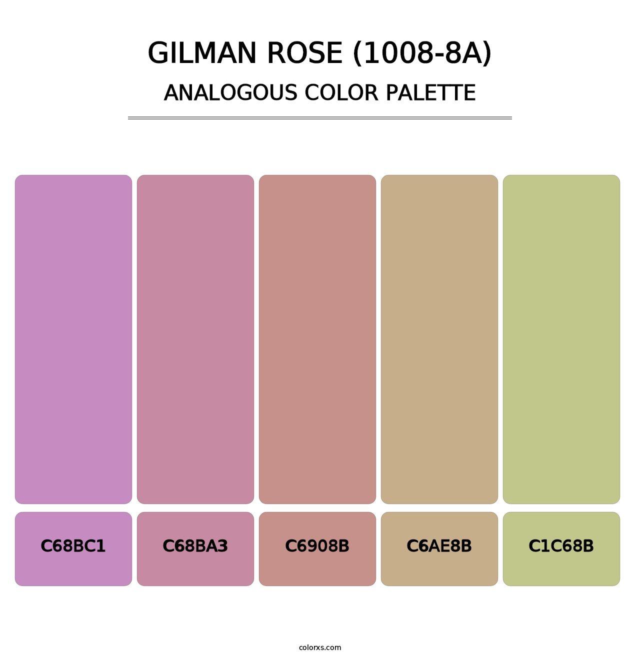 Gilman Rose (1008-8A) - Analogous Color Palette