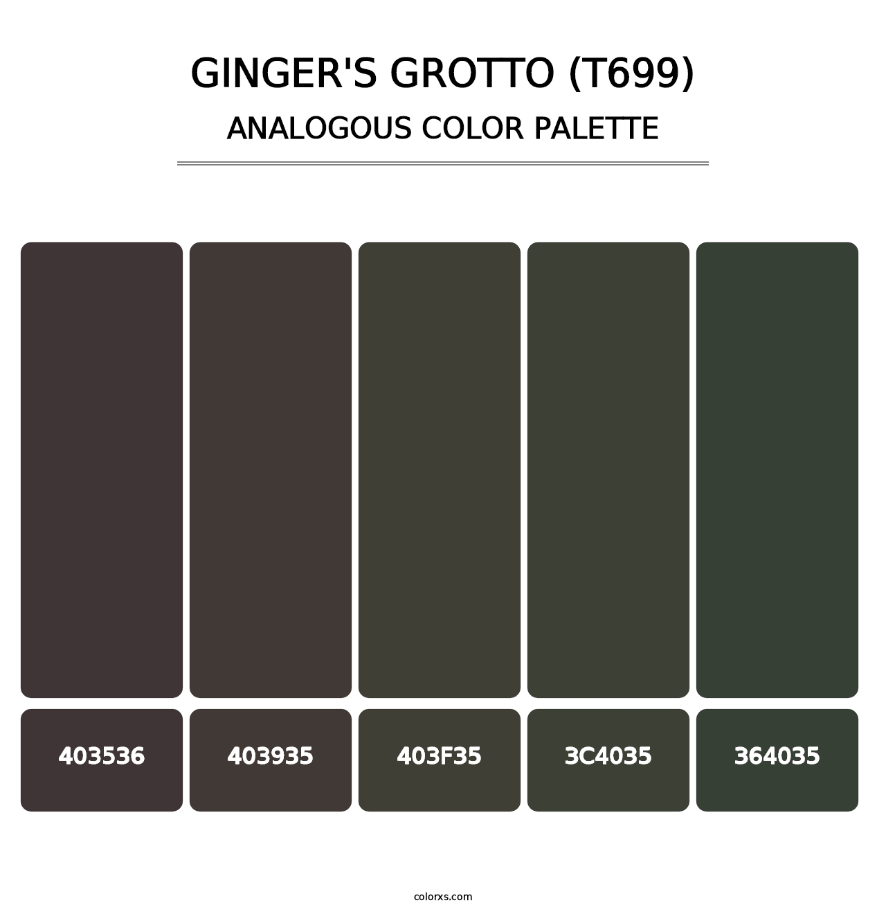 Ginger's Grotto (T699) - Analogous Color Palette