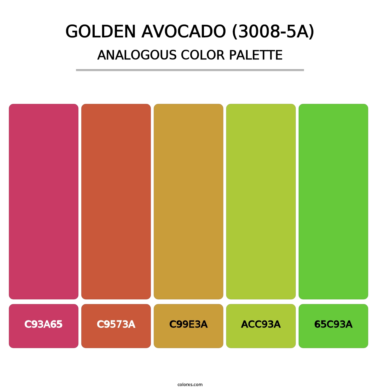 Golden Avocado (3008-5A) - Analogous Color Palette