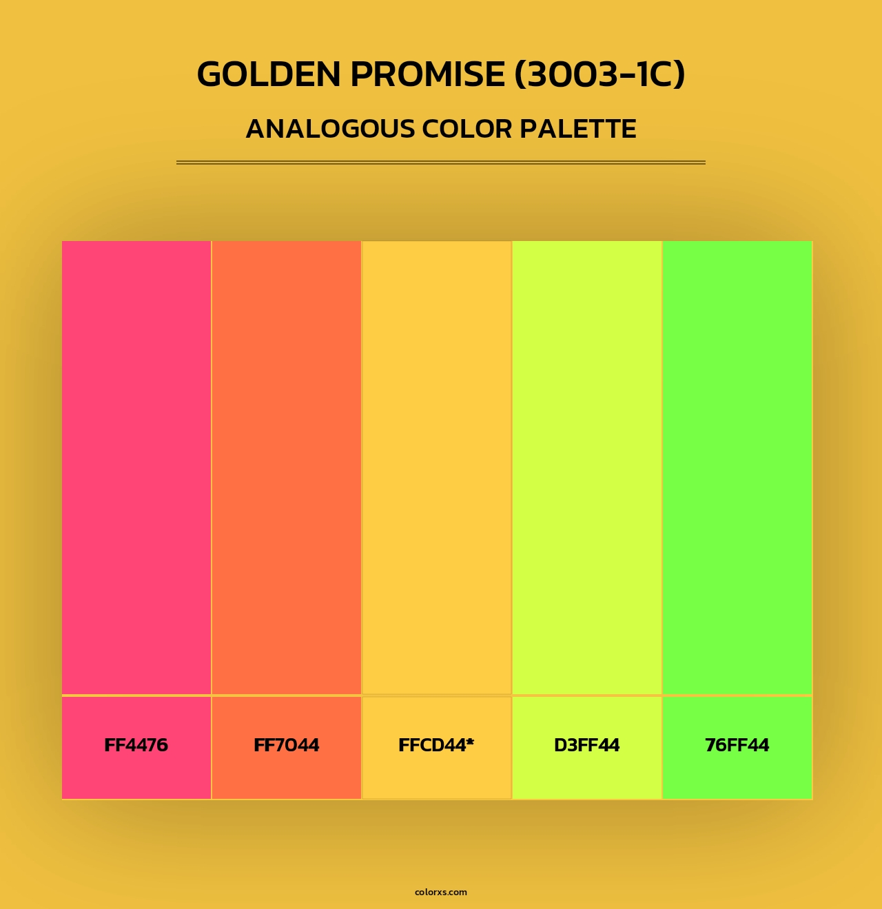 Golden Promise (3003-1C) - Analogous Color Palette