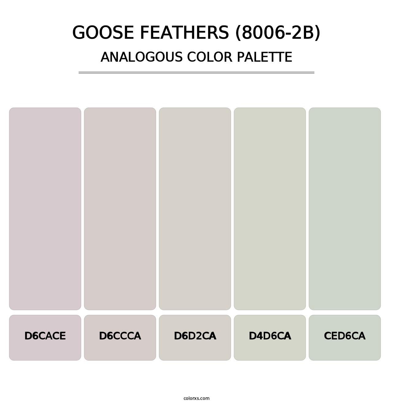 Goose Feathers (8006-2B) - Analogous Color Palette