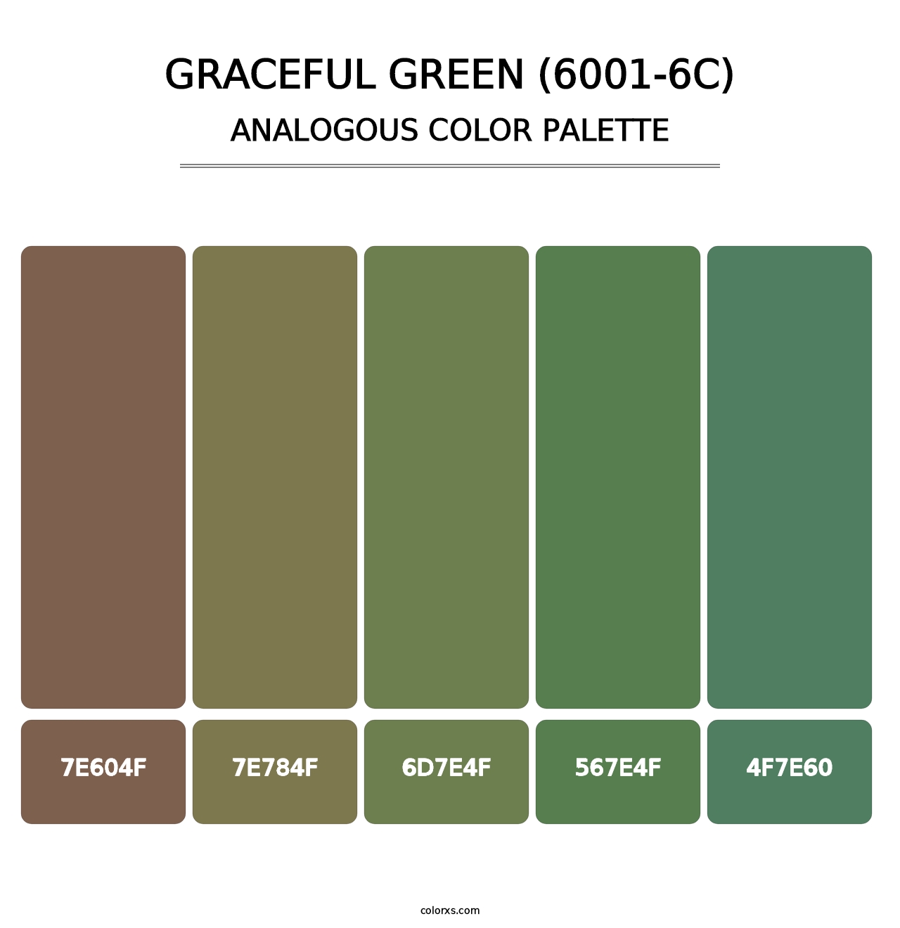 Graceful Green (6001-6C) - Analogous Color Palette
