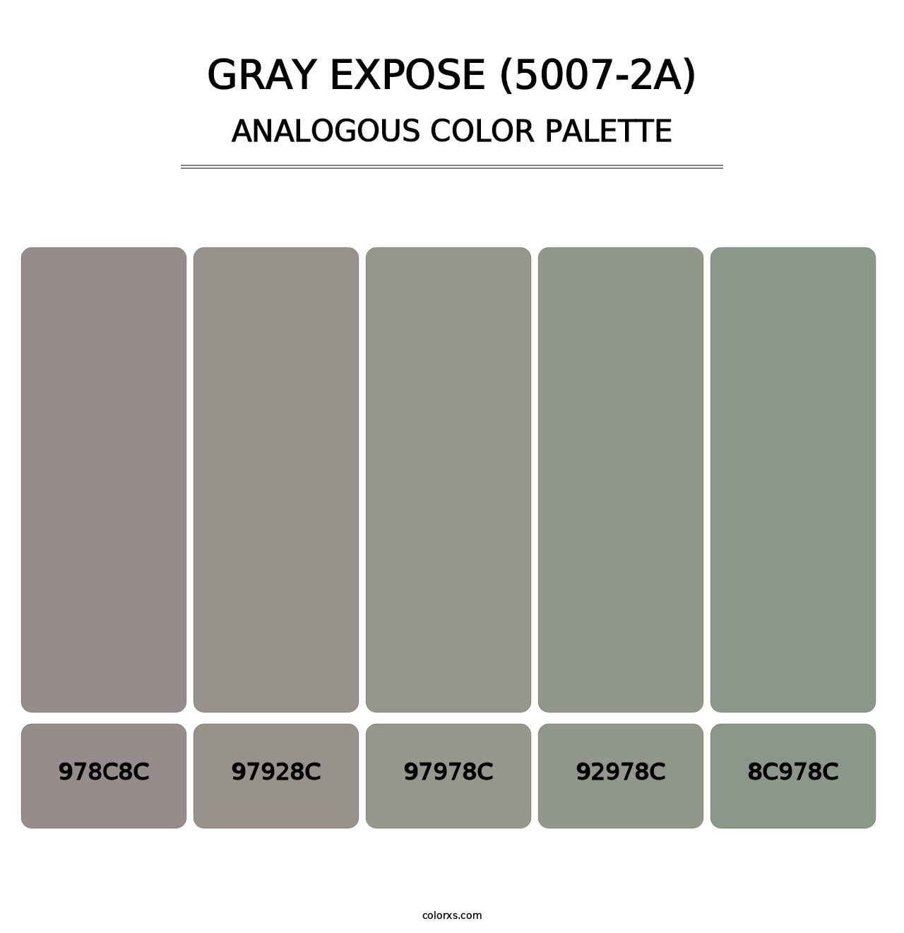 Gray Expose (5007-2A) - Analogous Color Palette