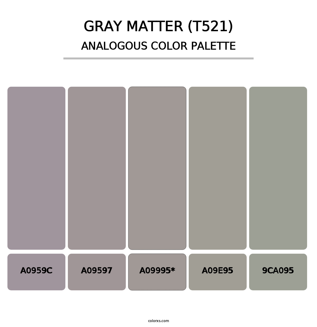 Gray Matter (T521) - Analogous Color Palette