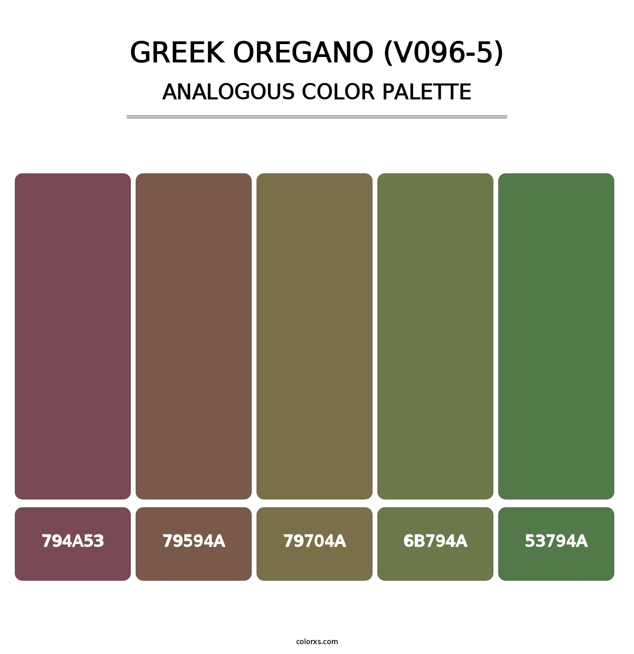 Greek Oregano (V096-5) - Analogous Color Palette