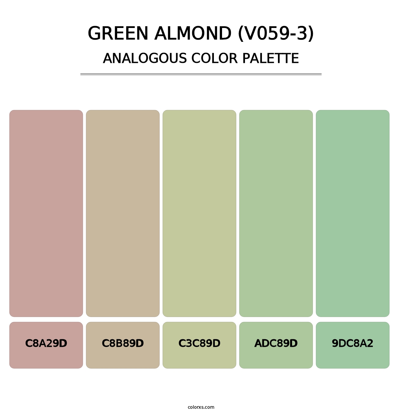 Green Almond (V059-3) - Analogous Color Palette